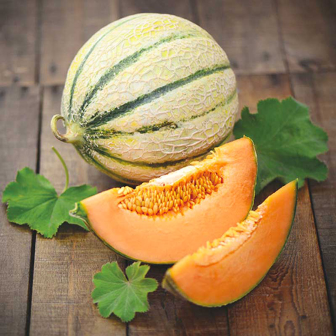 verbanogel - Sorbetto Melone